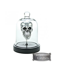 Decoration for Curio Cabinet: silver skull under glass