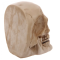 Beautiful bookends in the shape of skulls