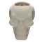 Don't let your plants wither any more, offer them this skull shaped pot.