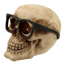 La vista es importante incluso en la muerte, dice este original cráneo