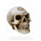 Superbe figurine de crâne par Alchemy Gothic