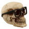 La vista es importante incluso en la muerte, dice este original cráneo