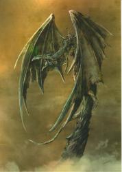 Carte Postale dragon par Mathieu Coudray