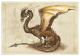 Carte Postale : Dragon Brun