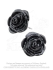 Boucles d'oreille : "Black Rose"