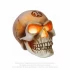 Cráneo Alchemy : The Inner Light Alchemist Skull