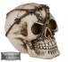Skull: barbed wire