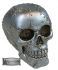 Skull: Metal plate