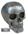 Cráneo: Placa de metal