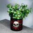 Vaso per piante da interno in ceramica: Skulls & Roses