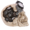 Cranio figurine, resina, con ingranaggi meccanici e occhiali steampunk